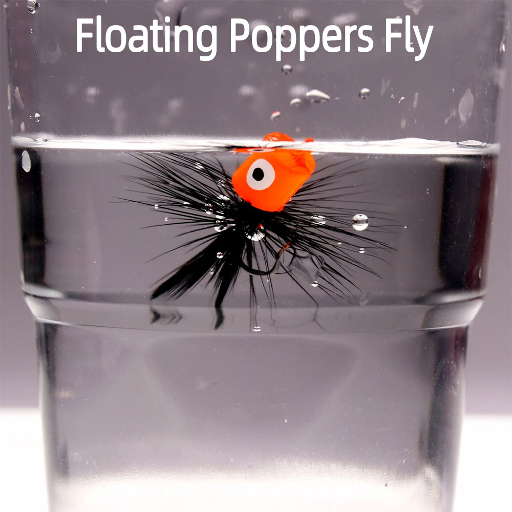 4 pièces de différentes taille - Fishing Lure Popper avis et prix